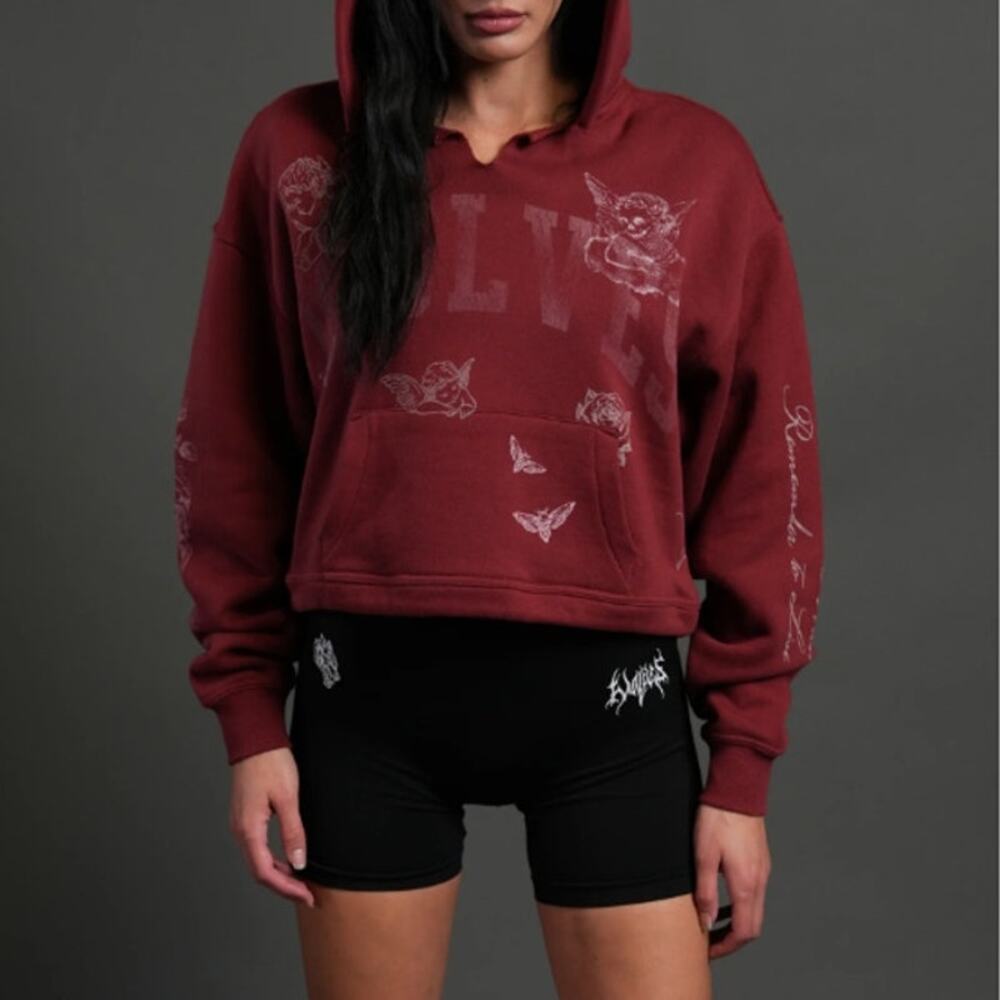 Darc Spot Fallen Cherub Dempsey Cropped Hoodie Cherry Red Size M